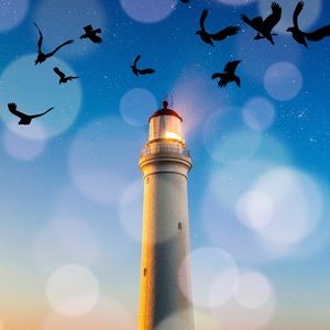 Meet your Posher, Dara